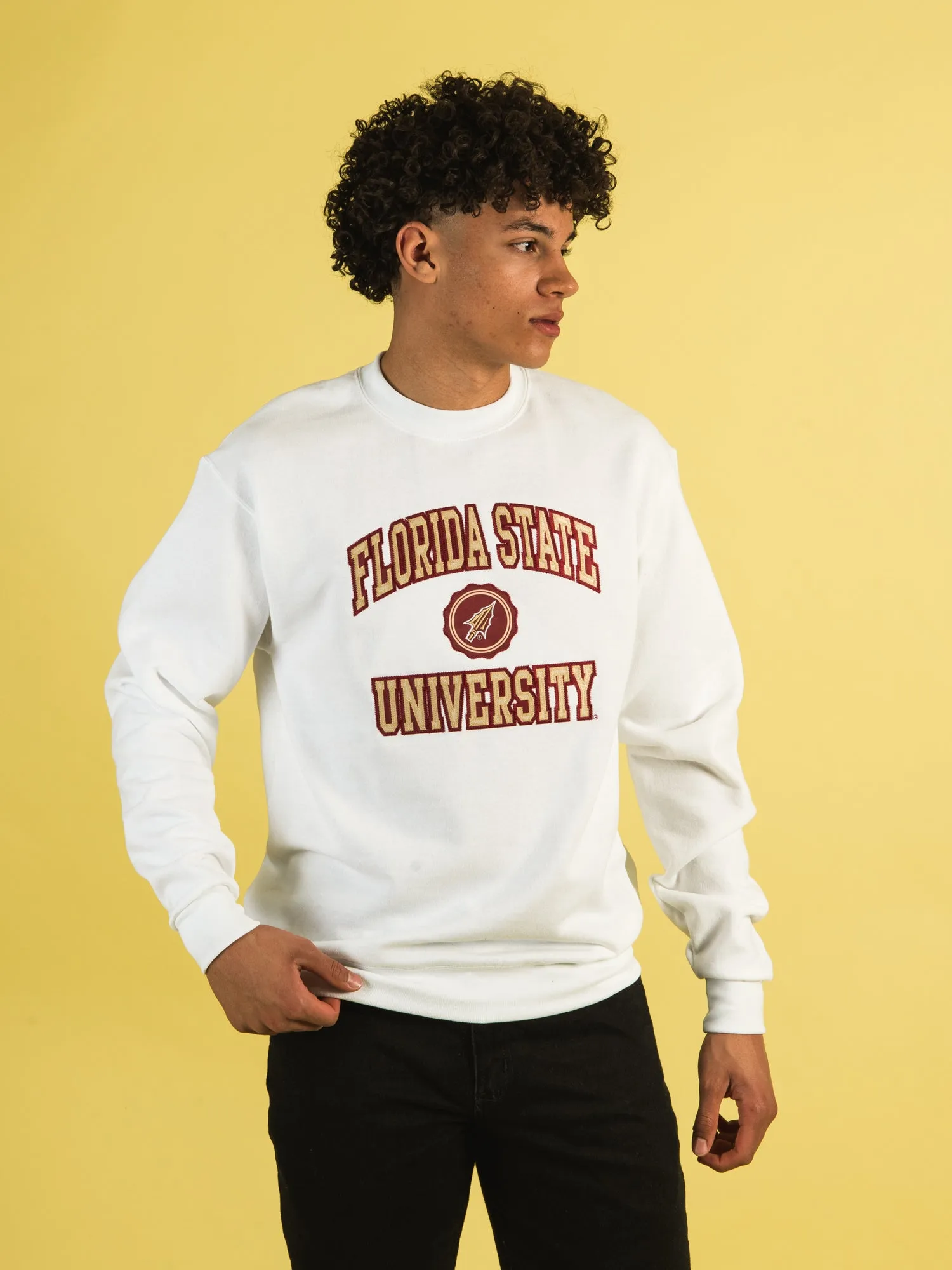 CHAMPION FLORIDA STATE CREWNECK